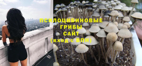 кокс Костерёво