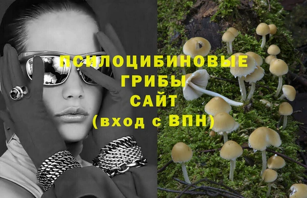 spice Заволжск