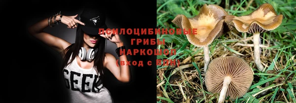 ECSTASY Заводоуковск