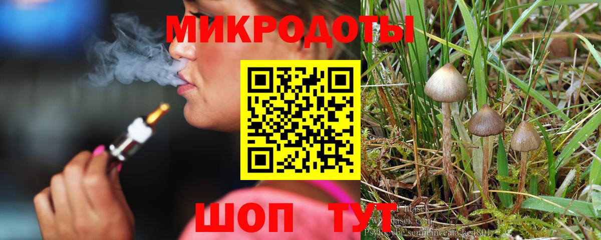 Ейск  Галлюциногенные грибы Cubensis  Вход с VPN 
